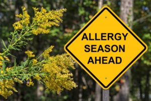 a road sign with plants surrounding it that says, "allergy season ahead"